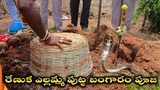 రేణుక ఎల్లమ్మ పుట్ట బంగారం పూజ 2022  Yellamma putta bangaram Puja 2022  Yellamma Panduga 2022 [upl. by Yro968]