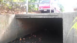 Hidden Tunnel that runs under Franklin Ave in Nutley NJ [upl. by Ahsekal]