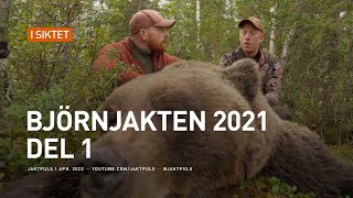 Björnjakten 2021 del 1 [upl. by Delphina]