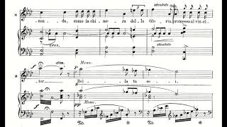 La Dolcissima efigie Adriana Lecouvrer  F Cilea Score Animation [upl. by Lahtnero]