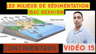 Les milieux de sédimentation actuels  géologie externe 1BAC video15 [upl. by Drandell]