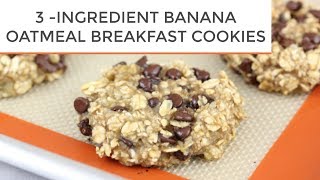 3INGREDIENT BANANA OATMEAL BREAKFAST COOKIES [upl. by Annahsed]