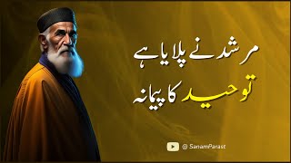 Murshid Ne Pilaya Hai Toheed  Qawwali  Irfani Kalam  Latest  Sufism [upl. by Iormina]