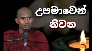 උපමාවෙන් නිවන  short talks  Gothatuwe Rewatha Himi [upl. by Uos141]