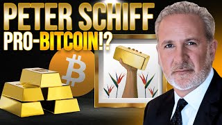 Peter Schiff interview  MacroEconomy  Bitcoin Ordinals [upl. by Hairu]