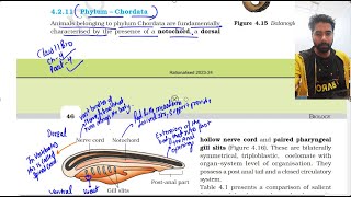 Animal Kingdom class 11th NCERT Biology Part 4  Phylum Chordata [upl. by Dougal]