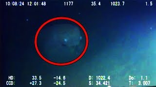 12 Mysterious Underwater Creatures Caught on Tape [upl. by Odnesor]