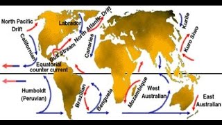 Trick to remember Atlantic ocean currents [upl. by Naesal]