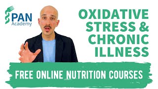 Oxidative Stress amp Chronic LowGrade Inflammation  PAN Academy  Free Online Nutrition Courses [upl. by Ainnek]