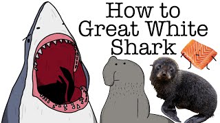 Your Life as a Great White Shark [upl. by Nevlin]