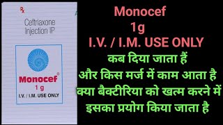 Monocef 1g use monocef 1g dose monocef 1g side effect [upl. by Julita787]