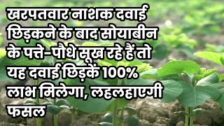 खरपतवार नाशक दवाई के साइड इफेक्ट से सोयाबीन को कैसे बचाएं  Herbicides side effects recover soybean [upl. by Atirehgram503]