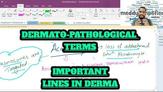 DermatoPathology  lines in derma  Acantholysis  Microabscess  Lines of Blaschko [upl. by Micheil208]