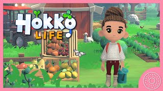 UN JEU ANIMAL CROSSING SUR PC  🤩 Hokko Life [upl. by Letsirhc]