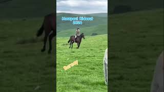 Hawick Common Riding Mosspaul 2024 at Northhouse  Isaac on Barney samdeansfit [upl. by Ainslie902]