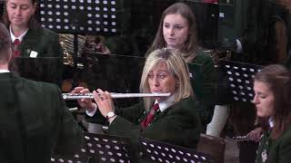 Musikverein Waldhausen im Strudengau [upl. by Clementius]