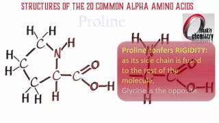 Amino Acids 1 Structures of the 20 Amino Acids [upl. by Drofiar]