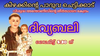 11 MAY 2024  ദിവ്യബലി  ST ANTONYS SHRINE CHETTIKKAD [upl. by Meng665]