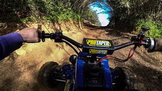 YAMAHA BANSHEE 350 FULL SPEED SHREDDING🌶️🌶️🌶️  Adventure Trail Riding Gopro Onboard [upl. by Oirazan648]