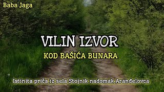 ISTINITA PRIČA  VILIN IZVOR KOD BAŠIĆA BUNARA Baba Jaga priča [upl. by Haissi273]