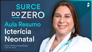 Resumo de Icterícia Neonatal  Aula do Curso Extensivo Residência Médica  SURCE DO ZERO [upl. by Madonia]