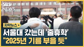 서울대 갔는데 줄휴학…quot2025년 기름 부을 듯quot 자막뉴스  SBS [upl. by Ludovika]