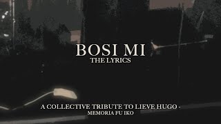 Powl Ameerali  Bosi Mi The Lyrics [upl. by Nonnelg]