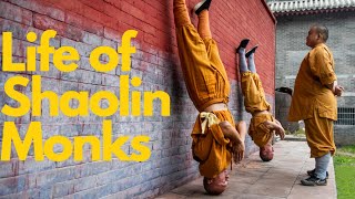 An exemplary Shaolin warrior monk少林功夫人物yanhao shaolinkungfuyanhao [upl. by Ardnikal]