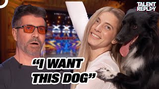 You Have Never Seen a Dog Dance Like This  Americas Got Talent 2024 [upl. by Eibbor585]