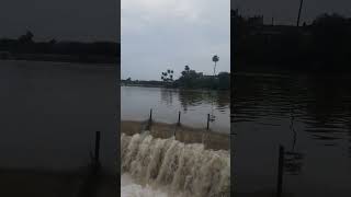 datia rain barish fall youtubeshorts trending shortvideo [upl. by Ellita]