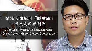 新陳代謝基因「醛縮酶」可成為抗癌利器 Aldolase  Metabolic Enzymes with Great Potentials for Cancer Theraputics [upl. by Violeta]