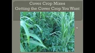 Cover Crop Mixes Getting the Cover Crop You Want [upl. by Assirrec]