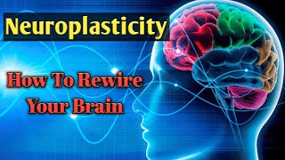 Neuroplasticity  neuroplasticity of the brain  neuroplasticity therapy [upl. by Laubin]