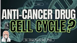 【The Key Point explained】Cell CycleSpecific Anticancer Drugs【AntiCancer Drug Pharmacology】 [upl. by Trainer]