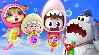 Its Not Food  Safety Rules  Baby Shark  Nursery Rhymes amp Kids Songs  BabyBus [upl. by Hendrick]