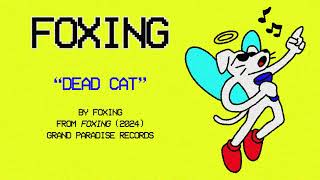 Foxing  Dead Cat Official Lyric Video [upl. by Vinaya]