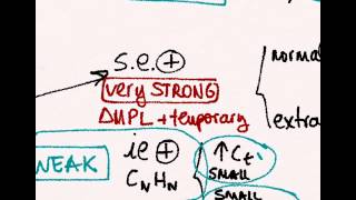 Real Business Cycle 7 Permanent and Temporary Proportional Shocks in the Production Function [upl. by Fridlund759]