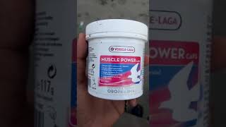 VERSELELAGA PRODUCT MUSCLE POWER FOR PIGEONS FEATHER pigeon kabootar verselelaga youtubevideo [upl. by Annael332]