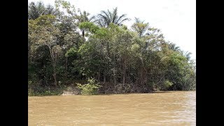 500 Miles on the Amazonas River [upl. by Blandina855]