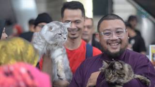 KELAB KUCING MALAYSIA  PUTRAJAYA ANIMAL LOVERS 2018  Part 13 [upl. by Kriss]