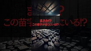 苗字に隠された先祖の社会的地位 [upl. by Aznecniv41]