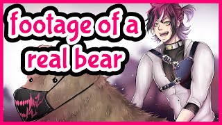 Footage of a Real Bear NO CLICKBEAR Baldurs Gate 3 Collab【NIJISANJI EN  Doppio Dropscythe】 [upl. by Joan]