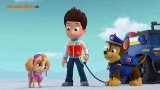 PAW PATROL Chase x Skye tribute [upl. by Ennovihs236]