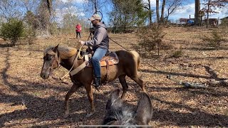 Horse Obstacle Work the heavy drag horsetraining [upl. by Janerich28]