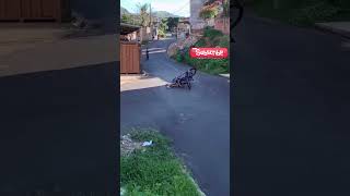 Cyclists Epic Fail Watch the Bike Break and the Laughter Roll 🚴‍♂️😂 [upl. by Dnalevelc176]