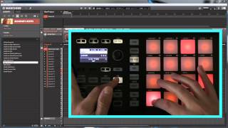 Maschine Mikro MkII  Scales Chords amp Arpeggios [upl. by Iver]