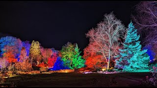 Glow at RHS Harlow Carr 2023 [upl. by Edithe113]