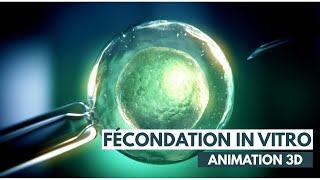 Fécondation In Vitro FIV  ICSI  Animation 3D [upl. by Nilyaj]