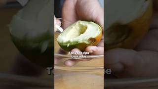 Spicy Guacamole is the BEST thing ever avocado guacamole spicy recipe [upl. by Kampmann925]