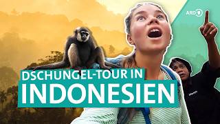 Backpacking in Indonesien DschungelTour auf Sumatra  Young Adventurers  ARD Reisen [upl. by Naoma518]